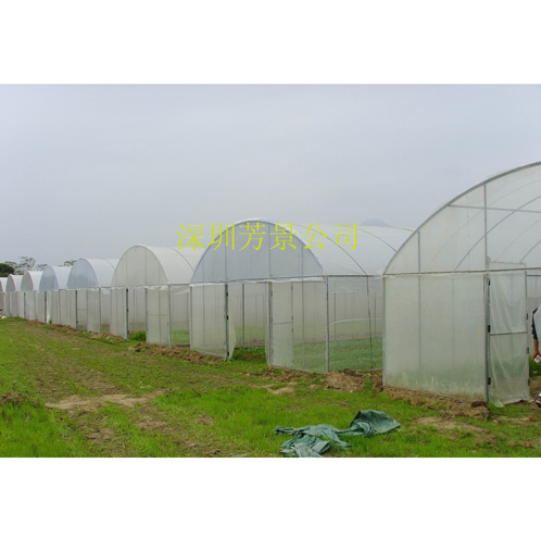 簡易大棚
