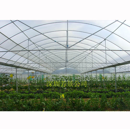 園拱溫室